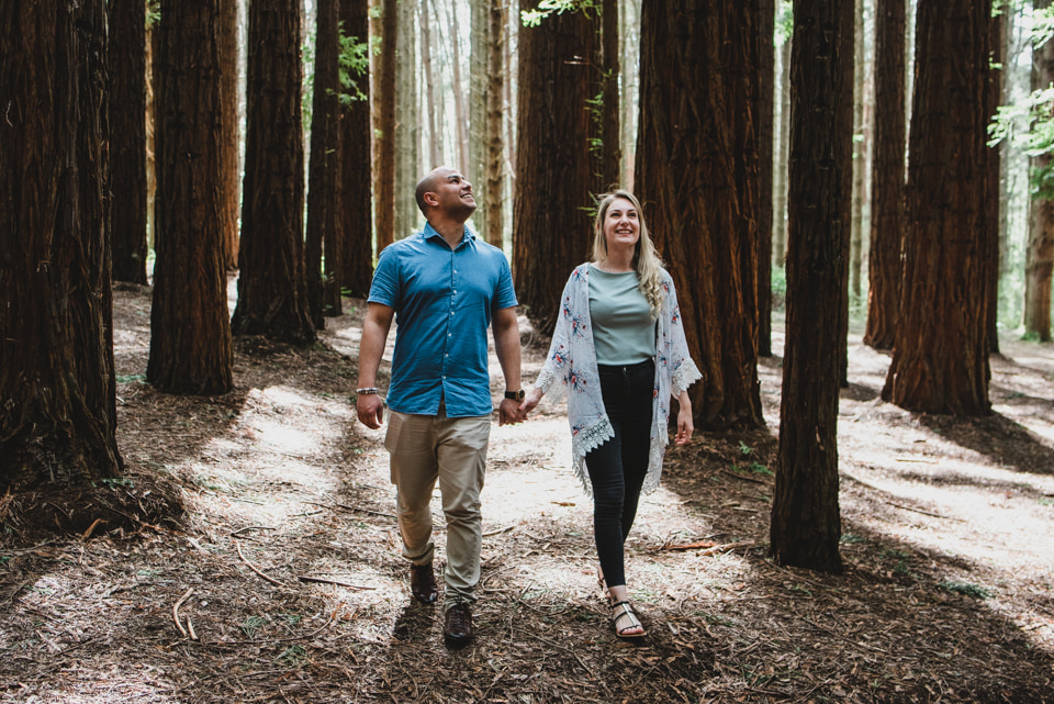 Exploring Redwood Forest in the Yarra Valley - Lionheart Photography